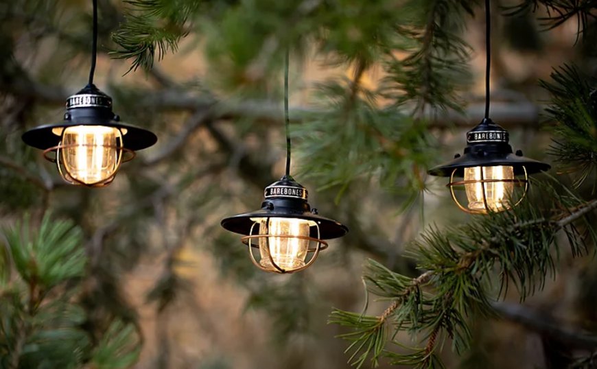 Barebones Edison String Lights